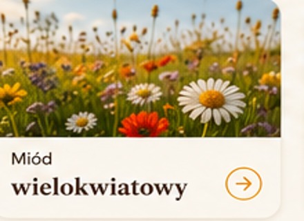 Łąka pełna kwiatów